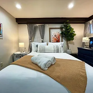 Artist's In The Heart Of The Apartment